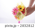 がベラの花束と手