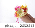 ガーベラの花束と手