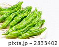 シシトウ