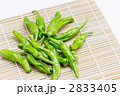 シシトウ