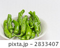 シシトウ
