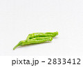 シシトウ