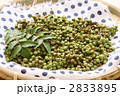 実山椒