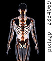 2834069