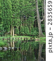 湧水池の水鏡