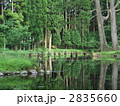 湧水池の水鏡