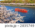 屋形船と桜並木