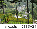 山間から見る山道の集落