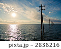 金田海岸