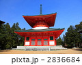 高野山　壇上伽藍の根本大塔