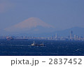 素材ナンバー 2837452 : 「無題」