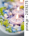2839275