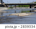 京都鴨川四条大橋-10