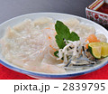 ふぐ刺し