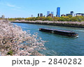 遊覧船ひまわりと桜並木