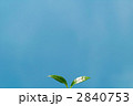 エコイメージ