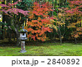紅葉の庭
