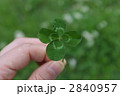 2840957