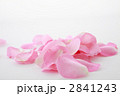 薔薇の花びら