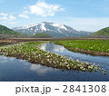尾瀬国立公園　大堀川から臨む至仏山と水芭蕉