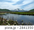 尾瀬国立公園　大堀川から臨む至仏山と水芭蕉