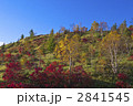 紅葉の志賀高原