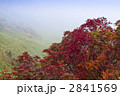 ナナカマドの紅葉