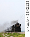 D51