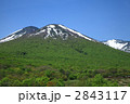 新緑の八甲田