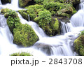 渓流