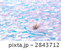 水面の桜