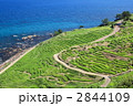世界農業遺産　白米の千枚田