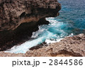 高那崎