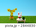 2844830