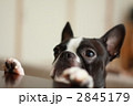 何があるの？