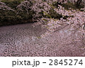 弘前城公園のお堀