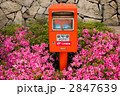 さつきとポスト②