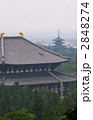 大仏殿と五重塔