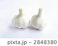 にんにく