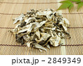 乾燥舞茸