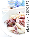 中華料理のイカの涼伴