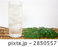 おいしい水よこ