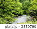 湯川渓谷