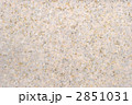 2851031