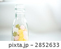 こんぺいとう