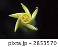 グルグル