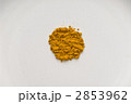 2853962
