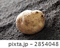 新ジャガ