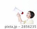 主婦