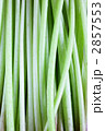 2857553
